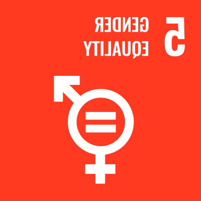 5 Gender Equality dashboard